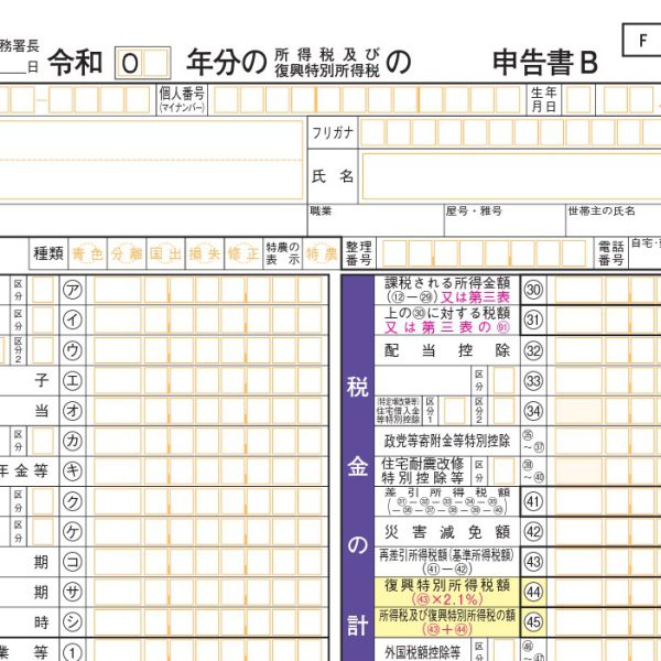 確定申告書Bでしかできない所得
