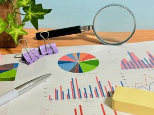 分析　決算書　個人