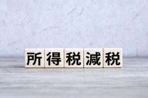 令和6年税制改正大綱　所得税　定額減税