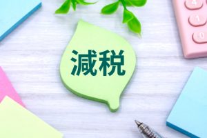 定額減税　減税